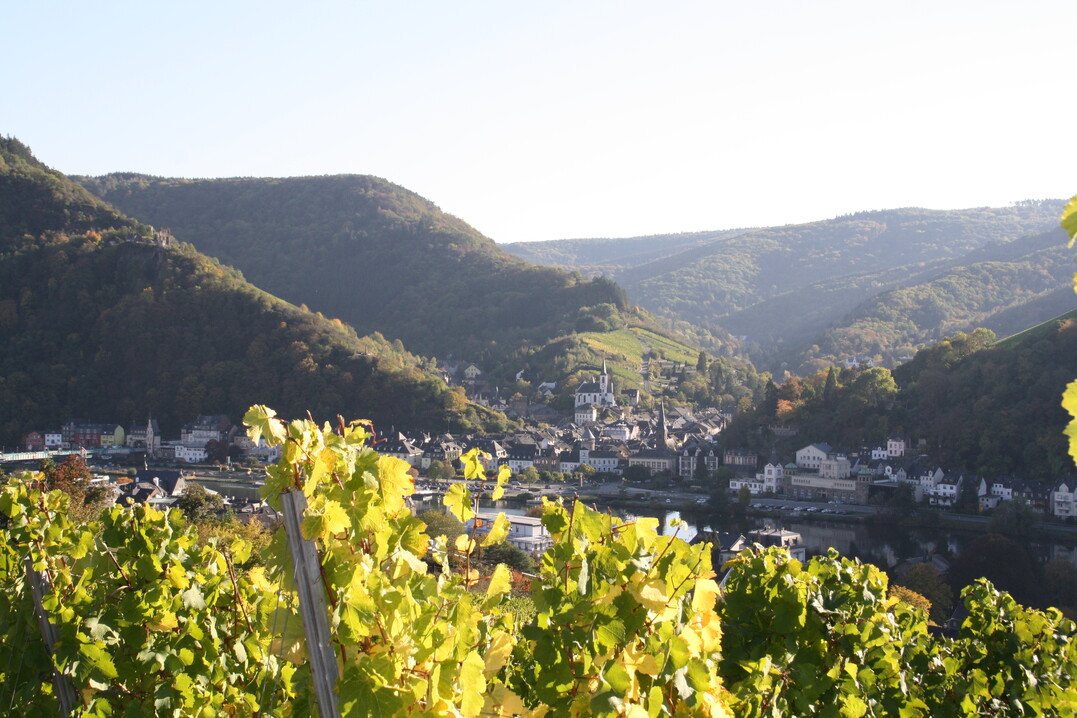 Die Kommune Traben-Trarbach und die Universität Trier beschäftigt sich in einem neuen Projekt mit den Auswirkungen des Klimawandels auf Weinbau und Tourismus.