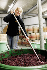 Bis jetzt sieht es ganz gut aus in den Kellern