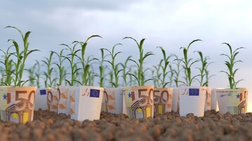 Die knapp 17.000 rheinland-pflzischen Landwirte haben Direktzahlungen in Hhe von 193 Millionen Euro aus Mitteln der EU erhalten. 