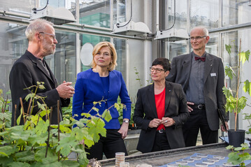 Bundesministerin in Julia Klckner bei ihrem Besuch des JKI-Standorts Siebeldingen. Prof. Michael Fischer (JKI) (l.) erlutert Versuche zur Esca-Krankheit. Ebenfalls auf dem Bild zu sehen sind Landtagsabgeordnete Christine Schneider (zweite von rechts) sowie Prof. Wilhelm Jelkmann, Leiter JKI-Institut fr Pflanzenschutz in Obst und Weinbau.