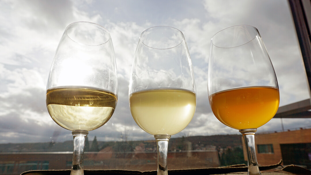 Pressfraktionen aus 2015er Silvaner Maischegrung nach vier
Monaten Maischekontakt. Links
der klare berstand (circa 70
Prozent der Weinmenge), in der
Mitte frei ablaufender Wein aus
dem Maischekuchen (circa 15
Prozent der Weinmenge) und
rechts die Pressfraktion (circa 15
Prozent der Weinmenge).