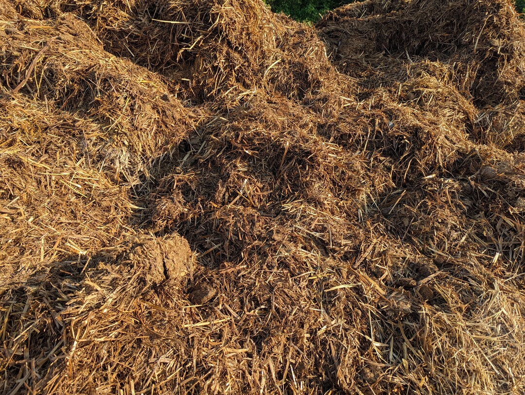 Stallmist oder Kompost eignet sich als organischen Dünger für die Reben (Symbolbild).
