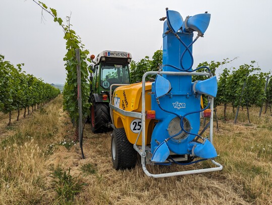 Im Praxisteil gings dann raus in die Weinberge.