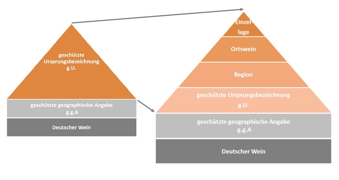 Die Systematik der neuen Qualittspyramide.