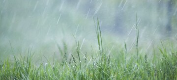 Landwirt*innen sollen gegen witterungsbedingte Schden in Folge des Klimawandels abgesichert werden.