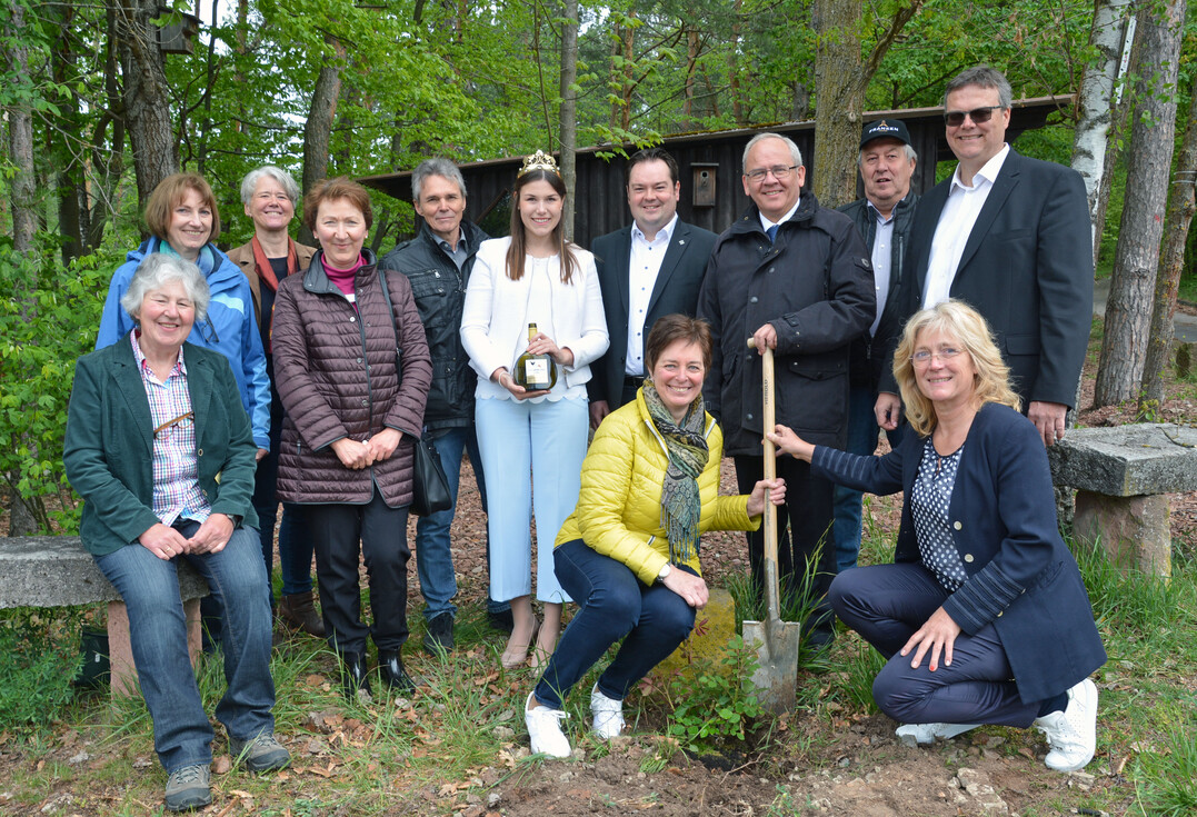 Zur Saisoneröffnung pflanzten Regierungspräsident Dr. Eugen Ehmann (3.v.r.) und Weinkönigin Carolin Meyer einen Rosenstock in den Thüngersheimer Weinbergen.