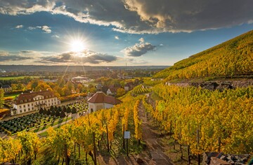 Schloss Wackerbarth in Radebeul ist ein beliebtes Ausflugsziel in Sachsen.