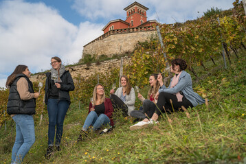Der Weinbauverband Saale-Unstrut stellt seinen zufriedenstellenden Weinjahrgang 2021 vor.