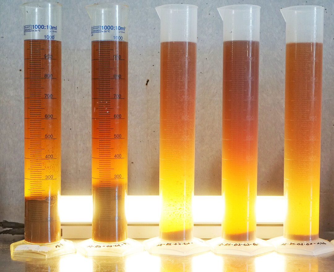 Most in Standzylindern zur Sedimentationstrubbestimmung nach 18
Stunden Standzeit.
