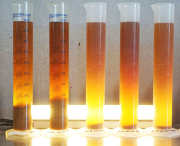 Most in Standzylindern zur Sedimentationstrubbestimmung nach 18
Stunden Standzeit.