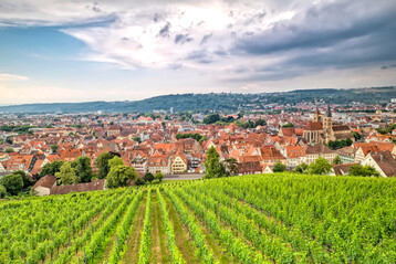Die Esslinger
Terrassenweinberge bieten Erholung und Naturerlebnisse fr die ganze Familie.