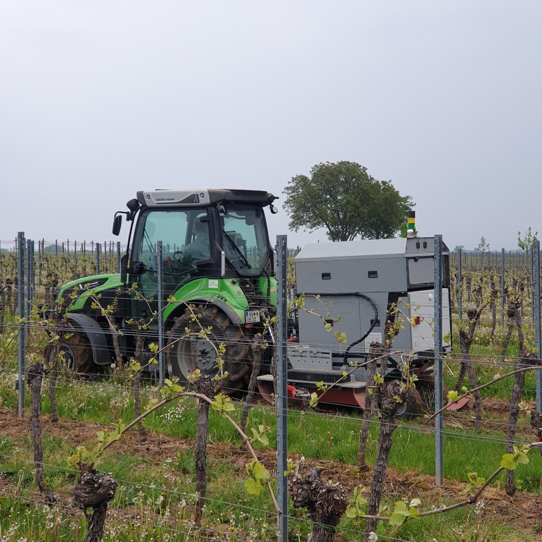 Im Projekt E-Herb RLP wurde eine alternative Beikratregulierung mittels Strom getestet.