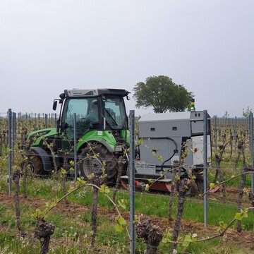 Im ProjektE-Herb RLP wurde eine alternative Beikratregulierung mittels Strom getestet.