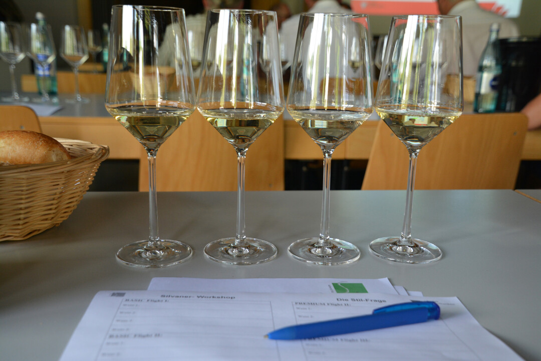 In einer Reihe mit großen Weinen von Weißburgunder, Chardonnay und Grünem Veltliner musste sich der Silvaner nicht verstecken.
