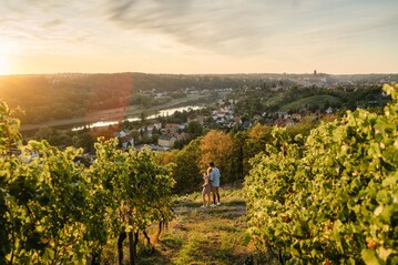 Auch fr das nchste Jahr stehen viele spannende Veranstaltungen auf dem Plan der Weinerlebnisfhrer BW.