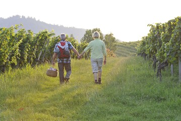 Urlaub in einer Weinregion auf einem Winzerhof bietet das besondere Erlebnis.