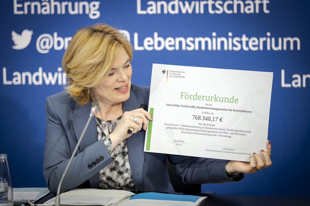 Bundeslandwirtschaftsministerin Klckner bergab per Videoschalte die Frderbescheide fr neue Foschungsverbundvorhaben.