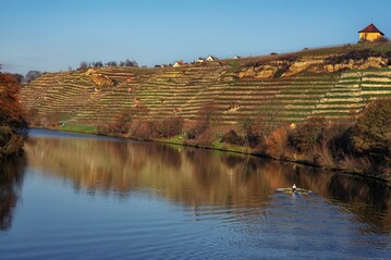 Die Wein-Kultur-Landschaft Neckarschleifen hat einen groen Wert als Erlebnisraum und Tourismusdestination.
