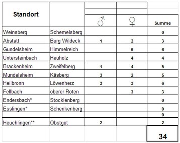 Monitoring Kirschessigfliege