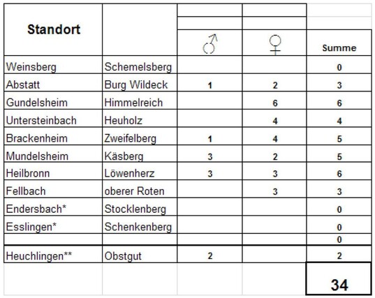 Monitoring Kirschessigfliege