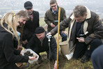 Beim Pflanzen der Trüffelbäume am Thüngersheimer Scharlachberg halfen (von links) auch die Fränkische Weinkönigin Marion Wunderlich, Ludger Sproll von der Baumschule Deutsche Trüffelbäume, der Präsident des Fränkischen Weinbauverbandes Arthur Steinmann, Dr. Herrmann Kolesch von der LWG, Ulrich Stobbe von der Baumschule Deutsche Trüffelbäume und Professor Theo Eberhard von der Hochschule München. Ein kräftiger Schluck Silvaner aus dem Bocksbeutel soll das Wachstum der schwarzen Knollen beschleunigen.