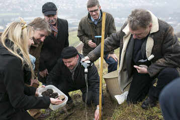Beim Pflanzen der Trffelbume am Thngersheimer Scharlachberg halfen (von links) auch die Frnkische Weinknigin Marion Wunderlich, Ludger Sproll von der Baumschule Deutsche Trffelbume, der Prsident des Frnkischen Weinbauverbandes Arthur Steinmann, Dr. Herrmann Kolesch von der LWG, Ulrich Stobbe von der Baumschule Deutsche Trffelbume und Professor Theo Eberhard von der Hochschule Mnchen. Ein krftiger Schluck Silvaner aus dem Bocksbeutel soll das Wachstum der schwarzen Knollen beschleunigen. 