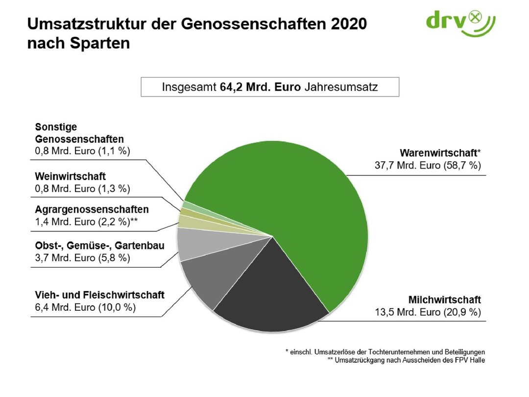 Die Umsatzstruktur der Genossenschaften im Jahr 2020 nach Sparten. 