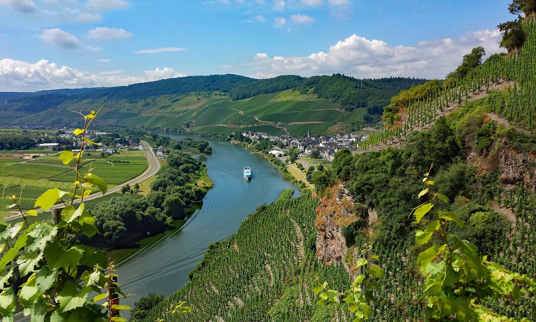 Die Weinbauern in Rheinland-Pfalz freuen sich, dass sie und ihr Gewerbe so leidenschaftlich von BWV-Präsident unterstützt werden.