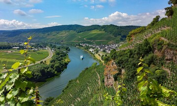 Die Weinbauern in Rheinland-Pfalz freuen sich, dass sie und ihr Gewerbe so leidenschaftlich von BWV-Prsident untersttzt werden.