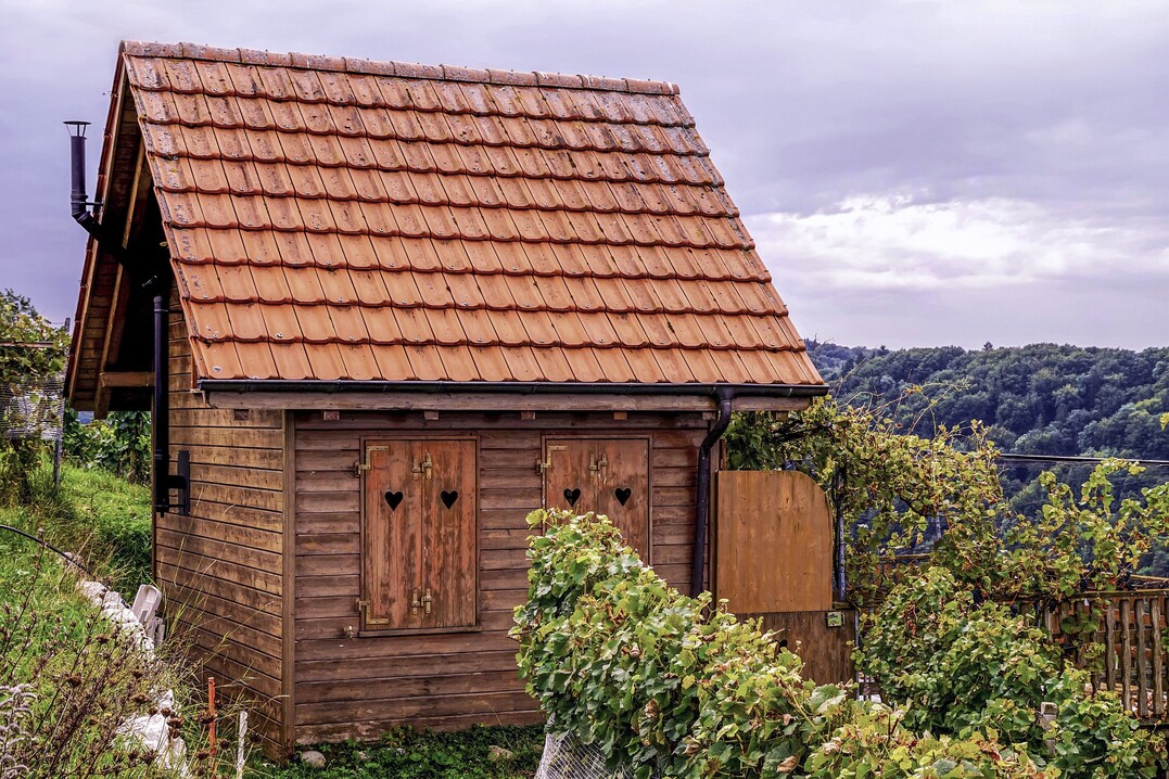 Das Jahr 2021 war meteorologisch ein äußerst problematisches Jahr für den Schweizer Weinbau.