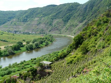 Steillagen stellen einen wichtigen Teil des kulturellen Erbes vielfltiger Landschaftsbilder dar.