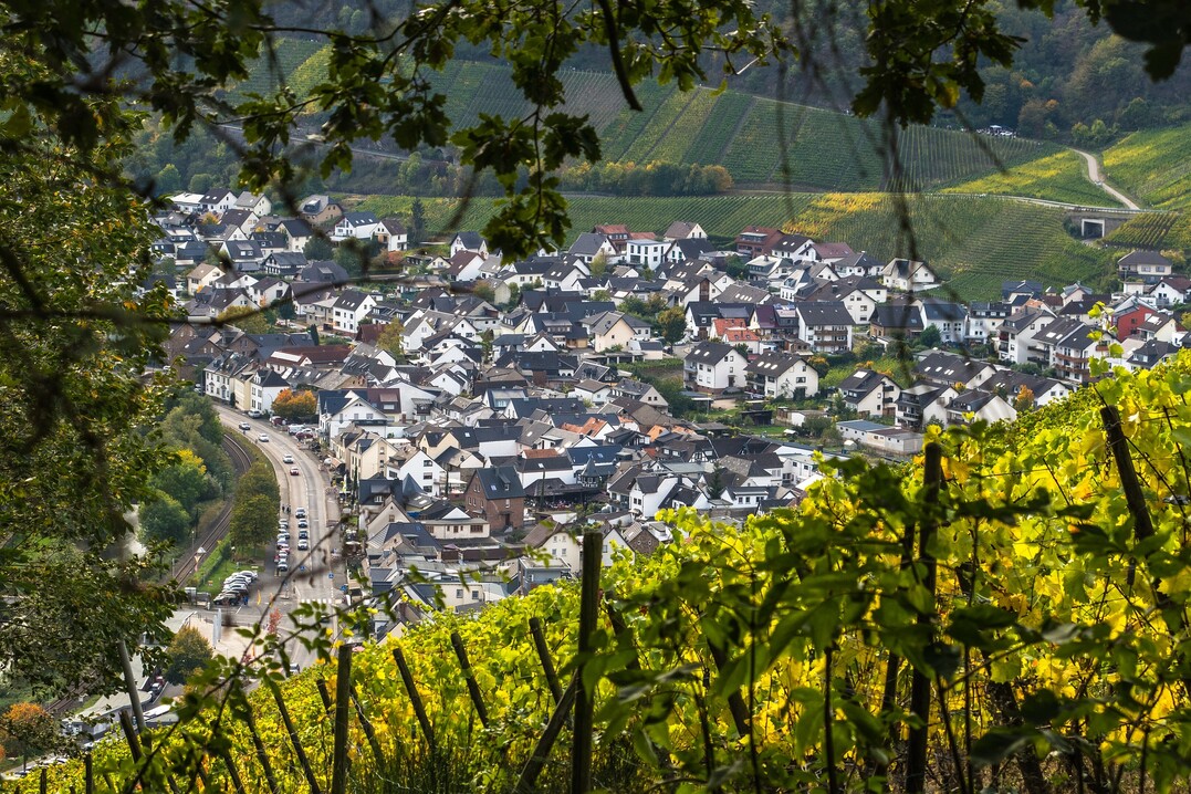 Der Tourismusregion Ahr soll wieder zu alter Größe verholfen werden.