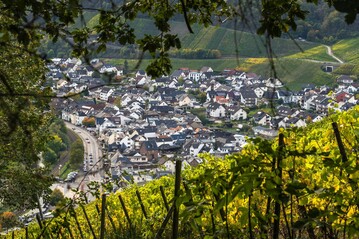 Viele landwirtschaftliche Betriebe konnten nach der Flutkatastrophe wieder aufgebaut werden, einige leiden noch immer.