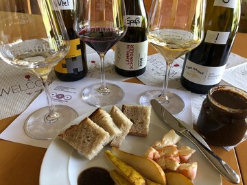  Fortbildung mal anders: Auxerrois, Cabernet Blanc und der Blaufrnkisch nach der Blindverkostung. 