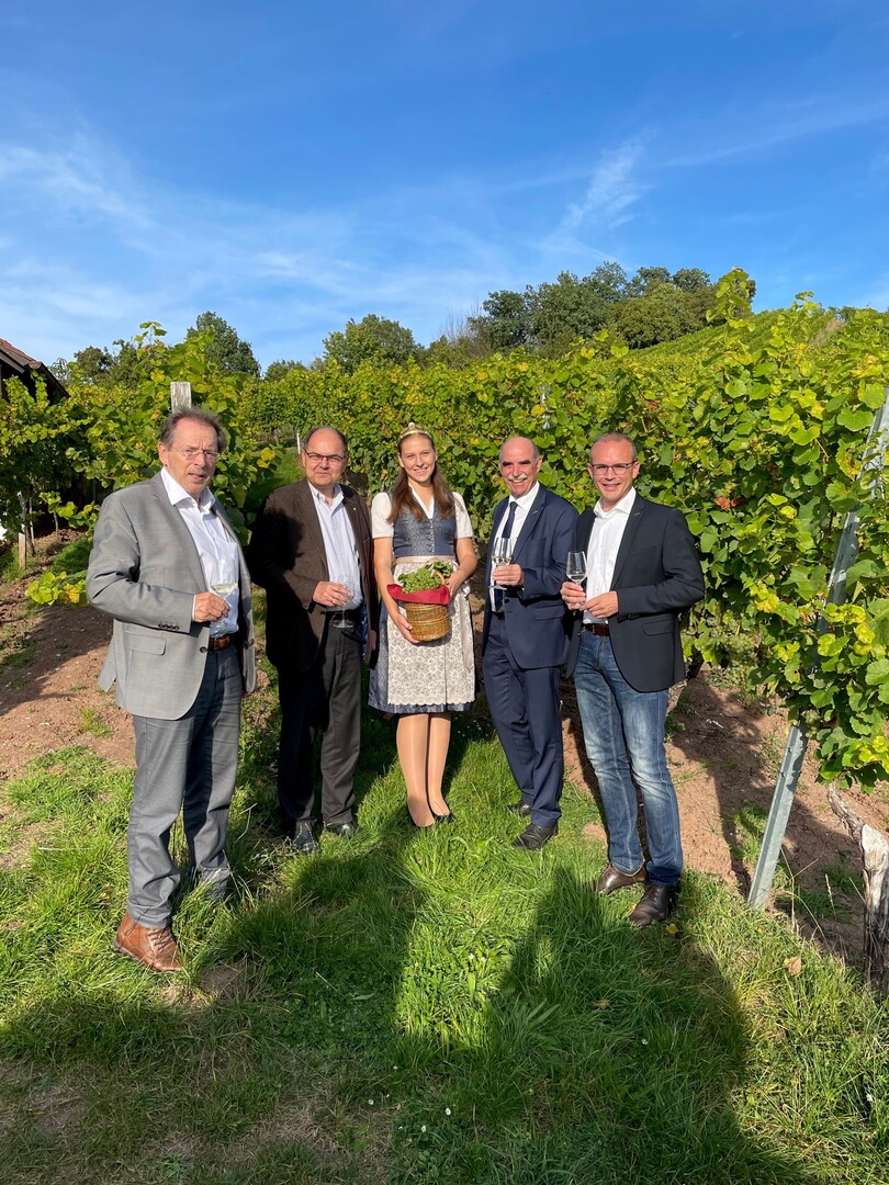 Beim weinbaupolitischen Gesprch mit MdB Christian Schmidt konnten sich alle Teilnehmer von der hohen Qualitt der reifen Beeren berzeugen.