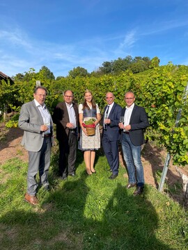 Beim weinbaupolitischen Gesprch mit MdB Christian Schmidt konnten sich alle Teilnehmer von der hohen Qualitt der reifen Beeren berzeugen.