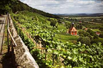 Statt Dresden-Pillnitz (im Bild die Weinbergkirche zum Heiligen Geist) fand der Weinbautag auch in diesem Jahr coronabedingt wieder in der Brse im nahegelegenen Coswig statt.