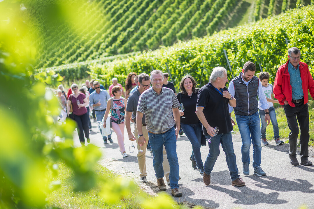 Eine Gruppe bei einer herbstlichen Erlebnisfhrung durch die Heilbronner Weinberge.