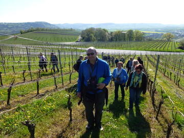 Weinerlebnisfhrer vermitteln auf fachkundige und unterhaltsame Art und Weise Wissenswertes ber den Wein und seinen Anbau, die Weinverarbeitung und Weinvermarktung sowie zum Weingenuss und zur Sensorik.