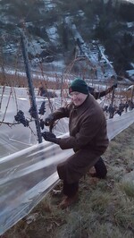 Auch im VDP-Weingut Herzog von Württemberg wurden die Minusgrade genutzt.