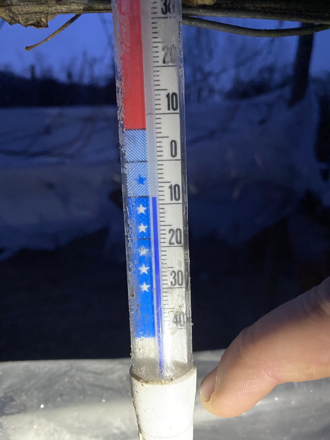 Bei minus acht Grad Celsius konnten Eisweintrauben der Sorte Riesling gelesen werden.