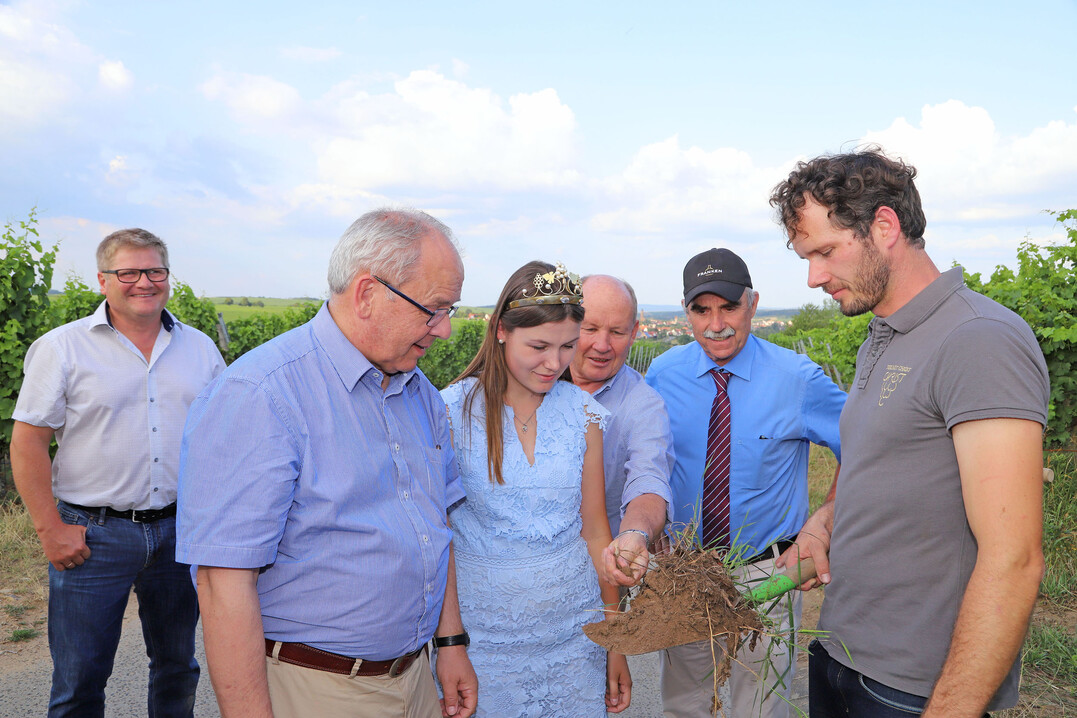 Bioweinbau in der Praxis (v.l.): Brgermeister Guido Braun, Regierungsprsident Dr. Eugen Ehmann, Frnkische Weinknigin Carolin Meyer, LWG-Prsident Dr. Hermann Kolesch, Weinbauprsident Artur Steinmann und Winzer Michael Christ (Weingut Helmut Christ).