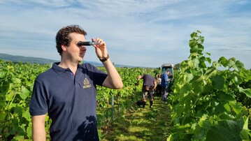 Der Geschftsfhrer der Weinbiet Manufaktur Bastian Klohr misst den Zuckergehalt seiner Trauben mit dem Refraktometer.
