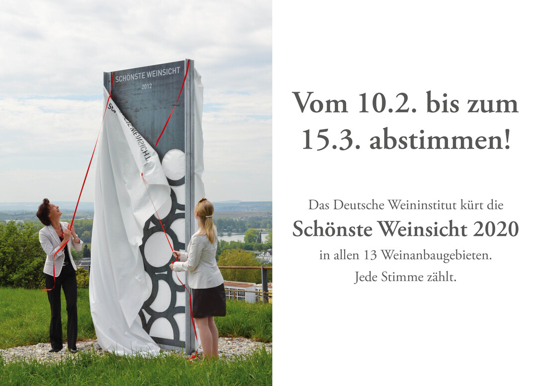 Ab dem 10. Februar bis zum 15. Mrz kann jeder auf der Homepage des Deutschen Weininstituts fr die schnesten Weinsichten 2020 abstimmen. 
