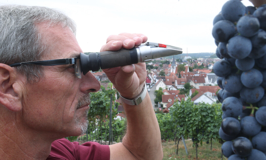 Rainer Lang, der Vorstandsvorsitzende der gastgebenden Weingärtnergenossenschaft Stromberg-Zabergäu, ist begeistert vom Weinherbst 2018.