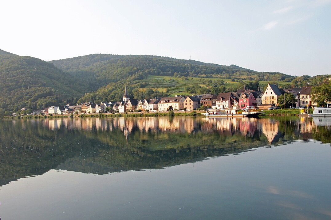 Gleich drei neue Höhepunkte der Weinkultur liegen in der Moselregion.
